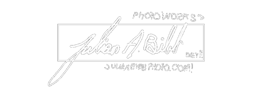 Julian Bibb Photo 