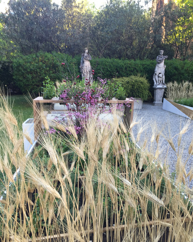  WHITEPEPPER, WEDDING VENUES, EVENTS, WEDDING DECORATION, WEDDING, FLOWERS, DESTINATION WEDDING, FLOWER DESIGN, FLORAL, FLOWERS ARRANGEMENT