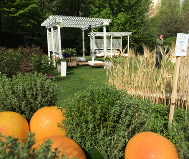  WHITEPEPPER, WEDDING VENUES, EVENTS, WEDDING DECORATION, WEDDING, FLOWERS, DESTINATION WEDDING, FLOWER DESIGN, FLORAL, FLOWERS ARRANGEMENT