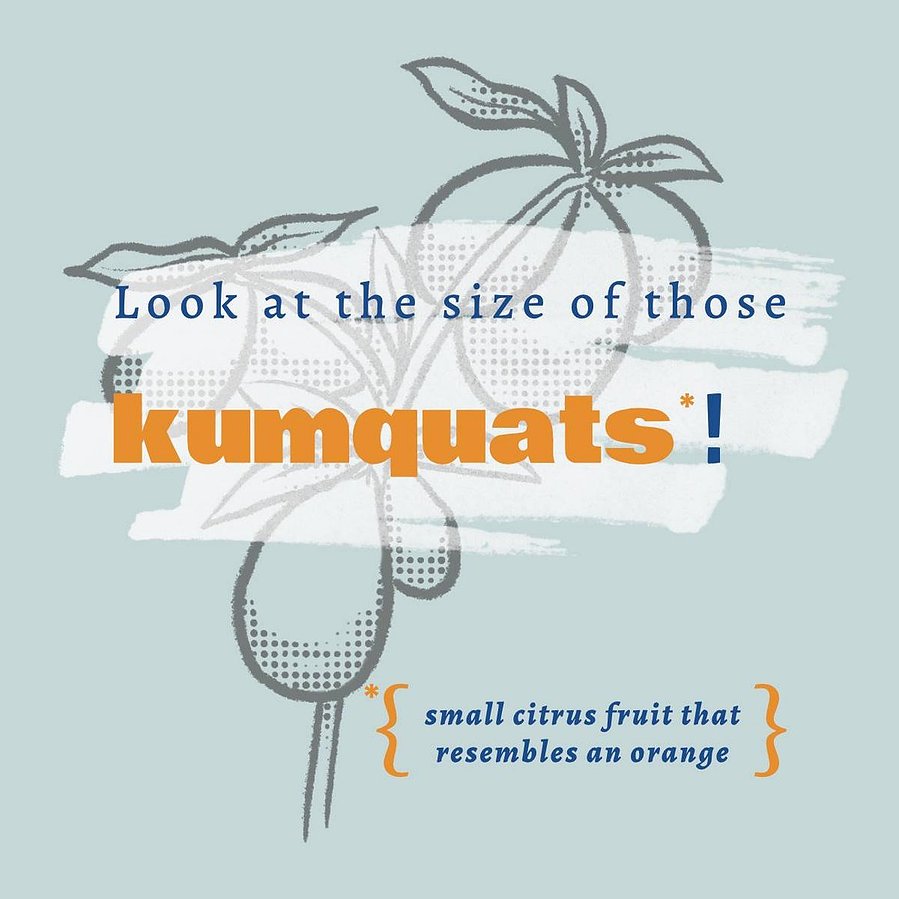 A blue coaster shows a drawing of kumquats. Text overlays the drawing that says "Look at the size of those kumquats!"