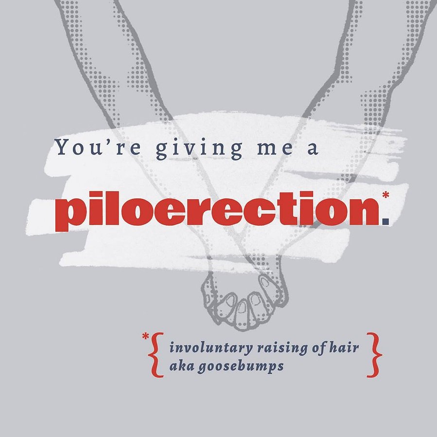 A gray coaster shows a drawing of a couple holding hands. Text overlays the drawing that says "You're giving me a piloerection."