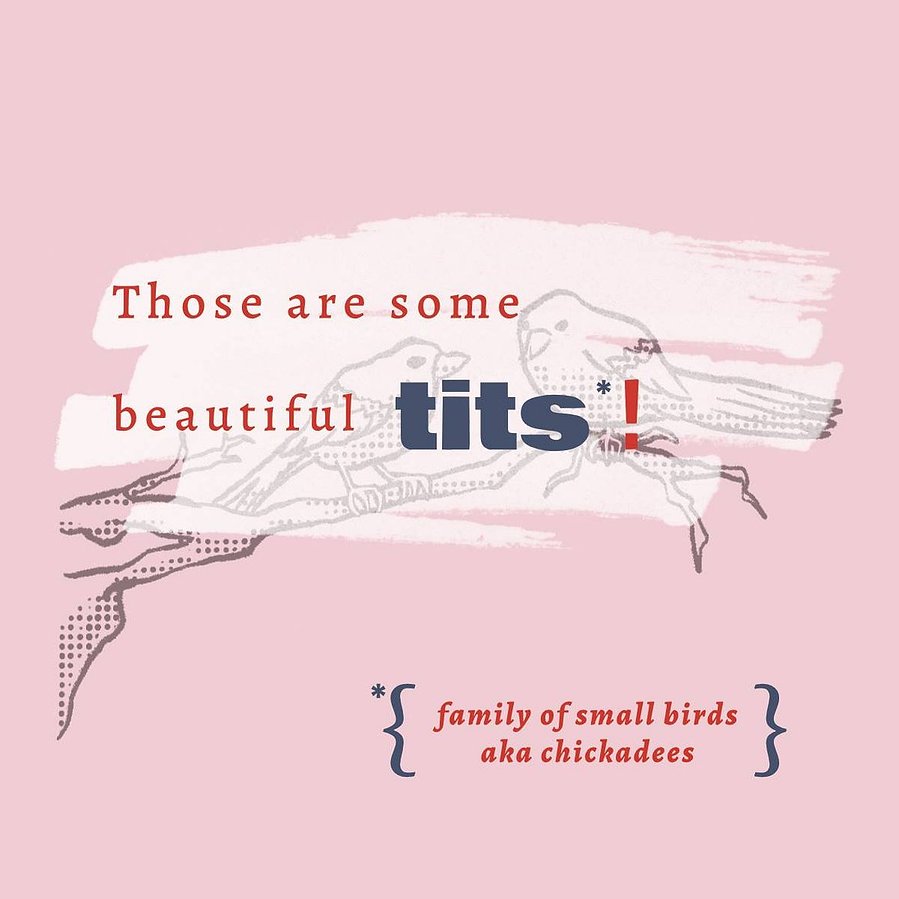 A pale red coaster shows a drawing of two birds sitting on a bench. Text overlays the drawing that says "Those are some beautiful tits."