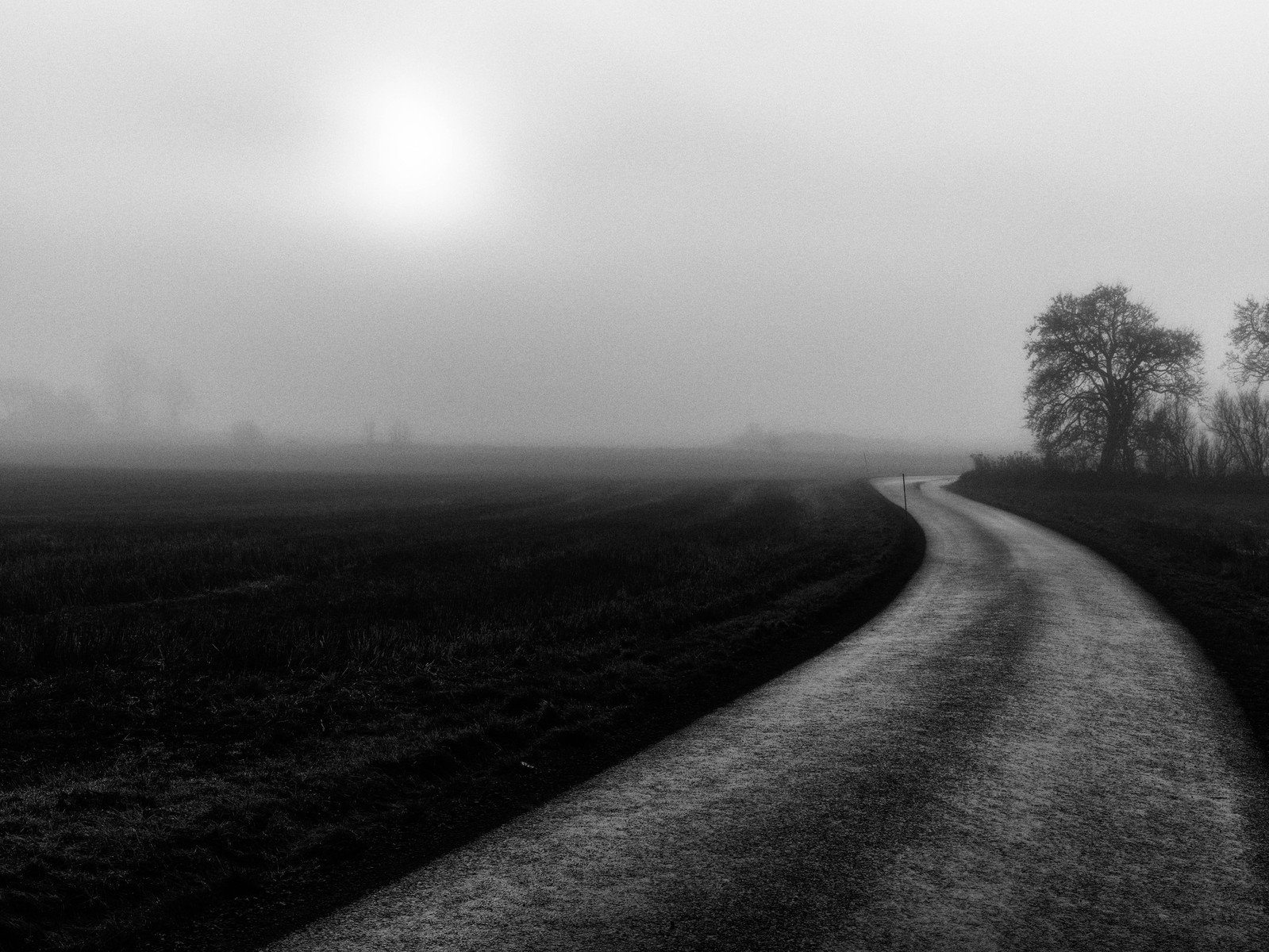 Väg som försvinner in i extrem dimma / A road that disappears into extreme fog
