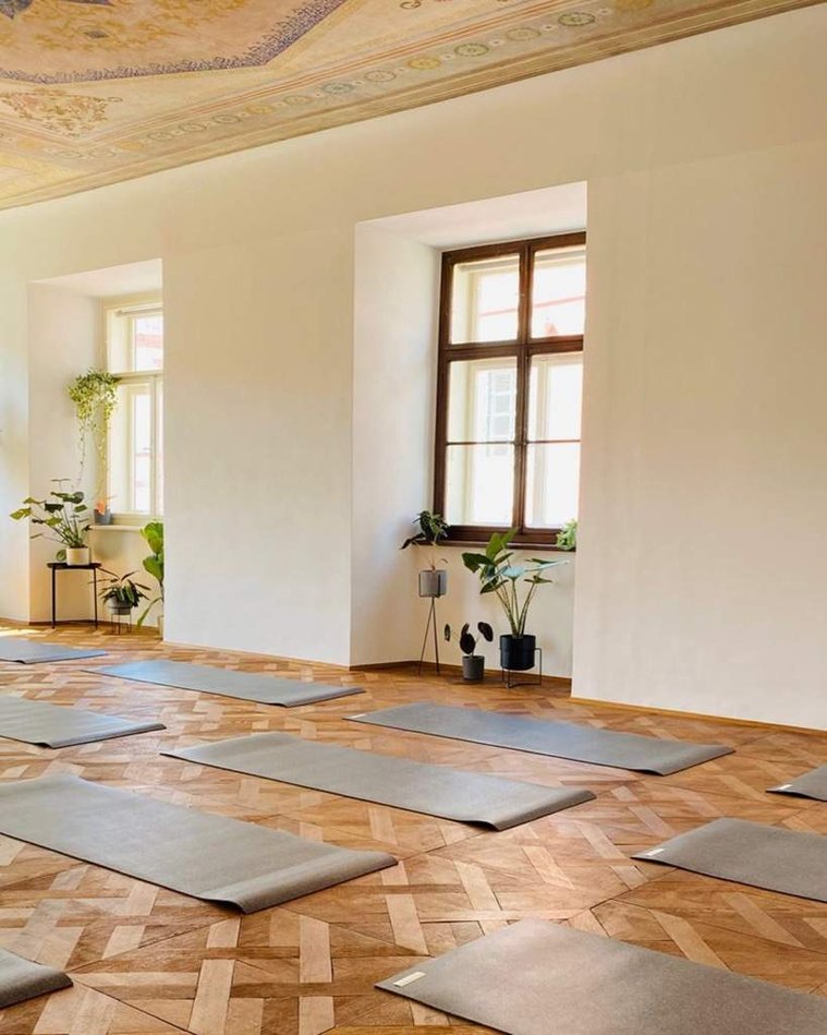The yoga space - a wooden floor, yoga mats, plants, and a painted ceiling.