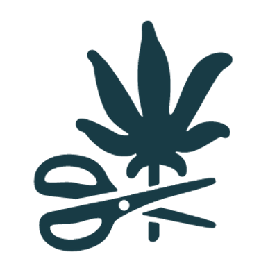 cannabis leaf and a pair of scissors