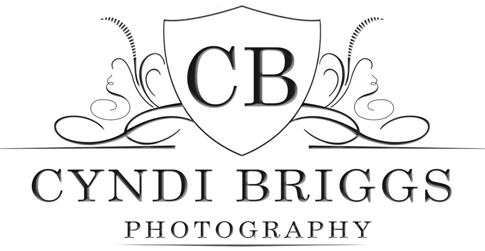 Cyndi Briggs Photography