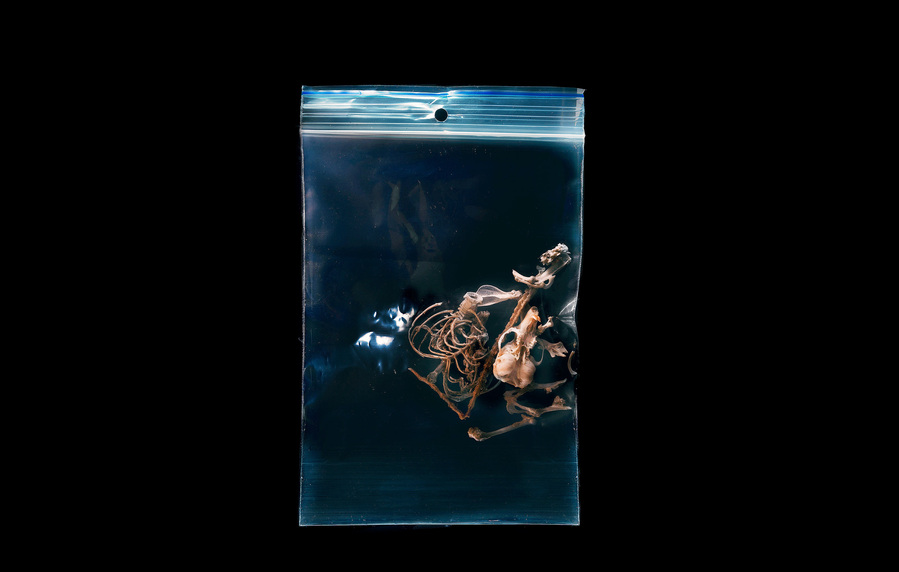 40x58cm, Pigment print
