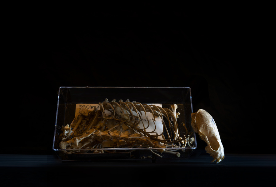 40x58cm, Pigment print