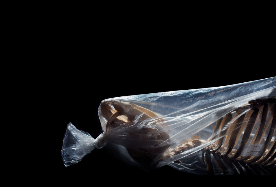 40x58cm, Pigment print