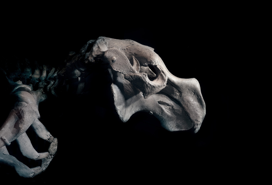40x58cm, Pigment print