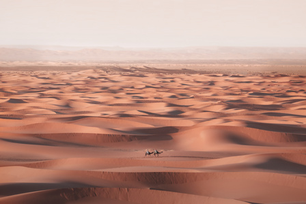 Chad Gerber Photography In Constant Motion 2019 Sahara Desert