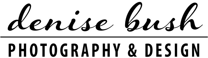 Denise Bush's Portfolio