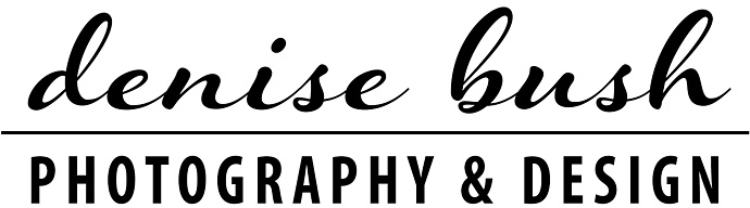 Denise Bush's Portfolio