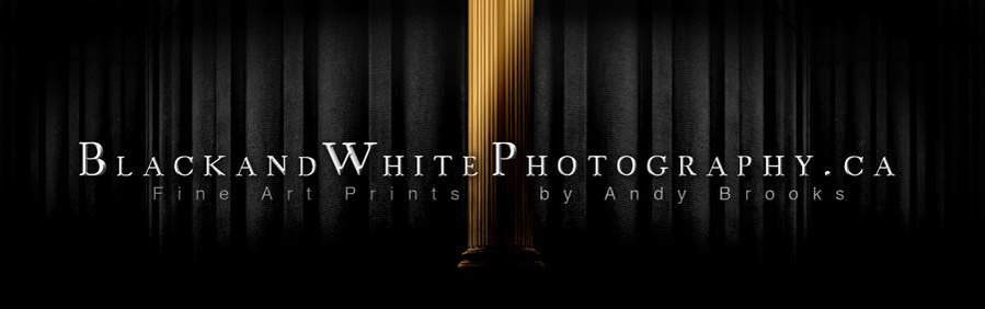 Black and white commissioned prints