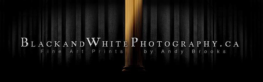 Black and white commissioned prints