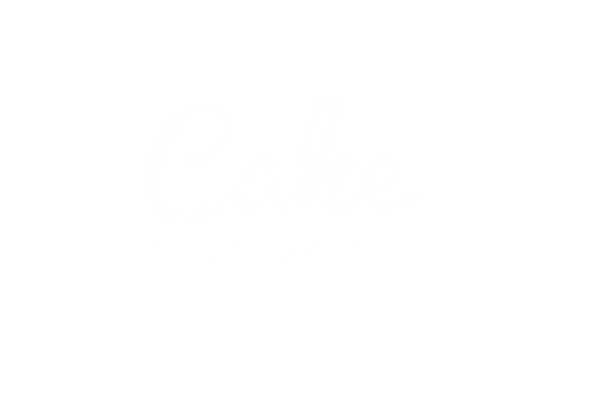 Remy Dominguez's Portfolio