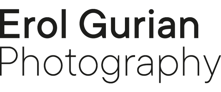 Erol Gurian 's Portfolio