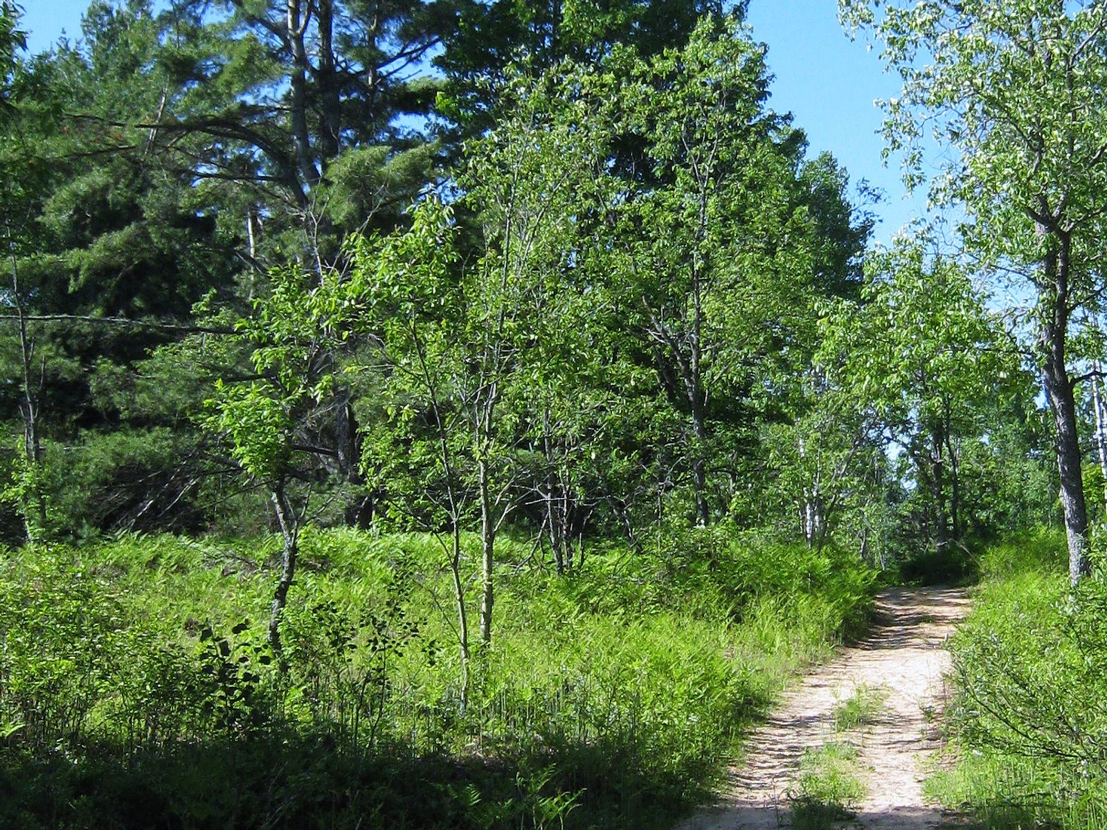 Elkwood Campground — photo 2
