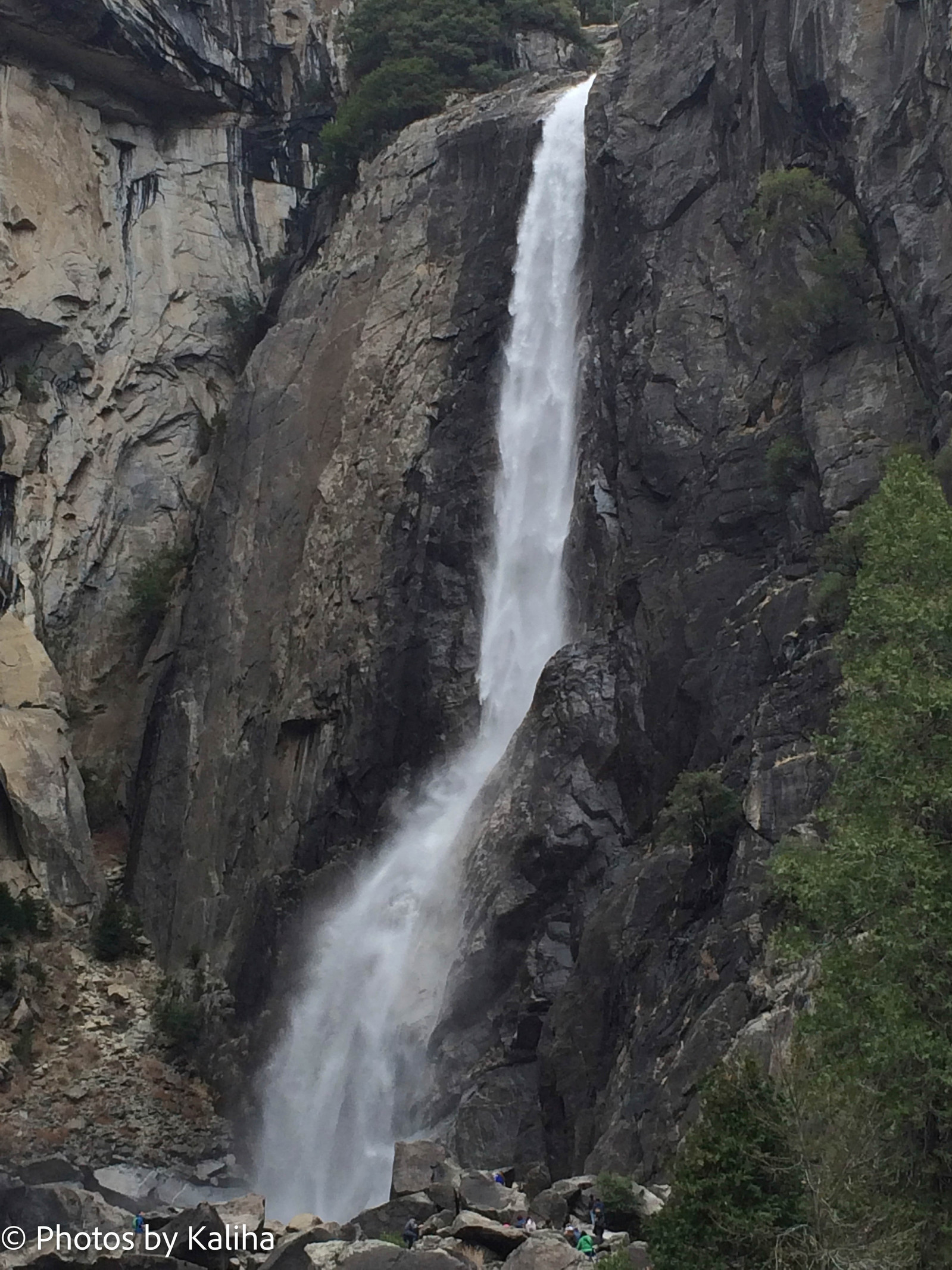 Experience Nature's Majesty: Lower Yosemite Falls in all its splendor! One of many splendor's in the NP.