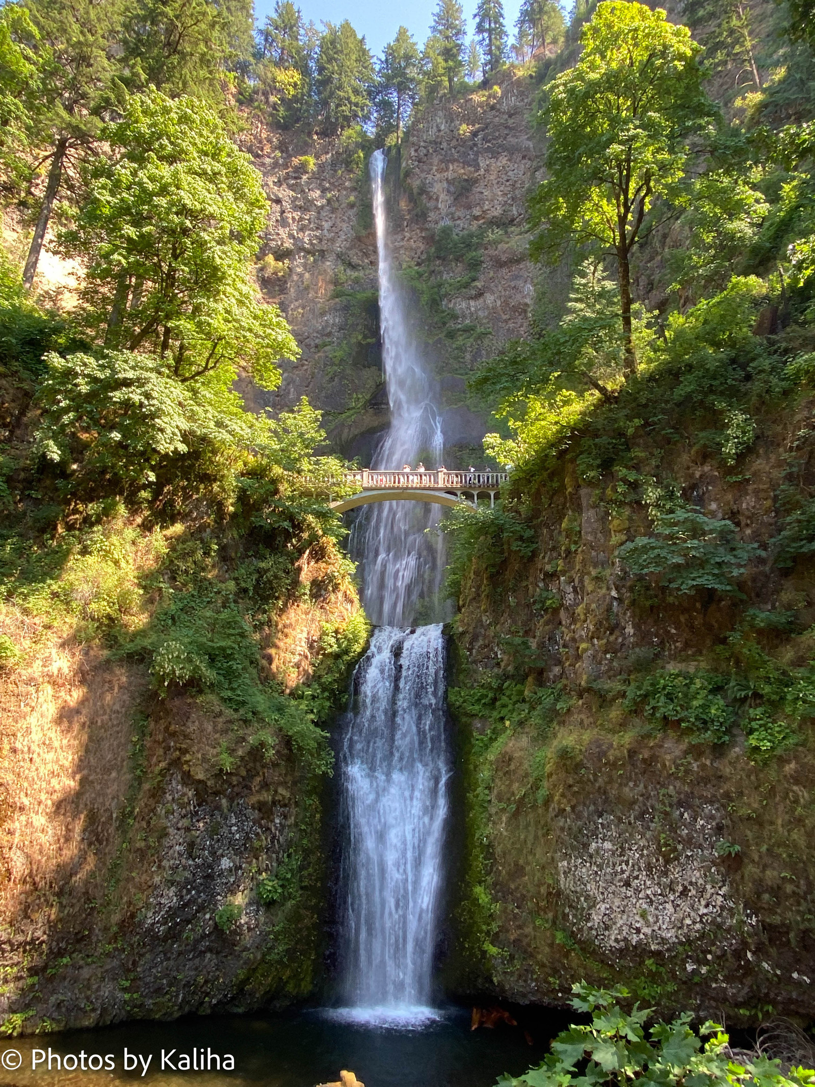 Discover the Beauty with this Captivating Photograph. Get Inspired for Your RV Trip to Oregon. Own the Digital Print Today!
