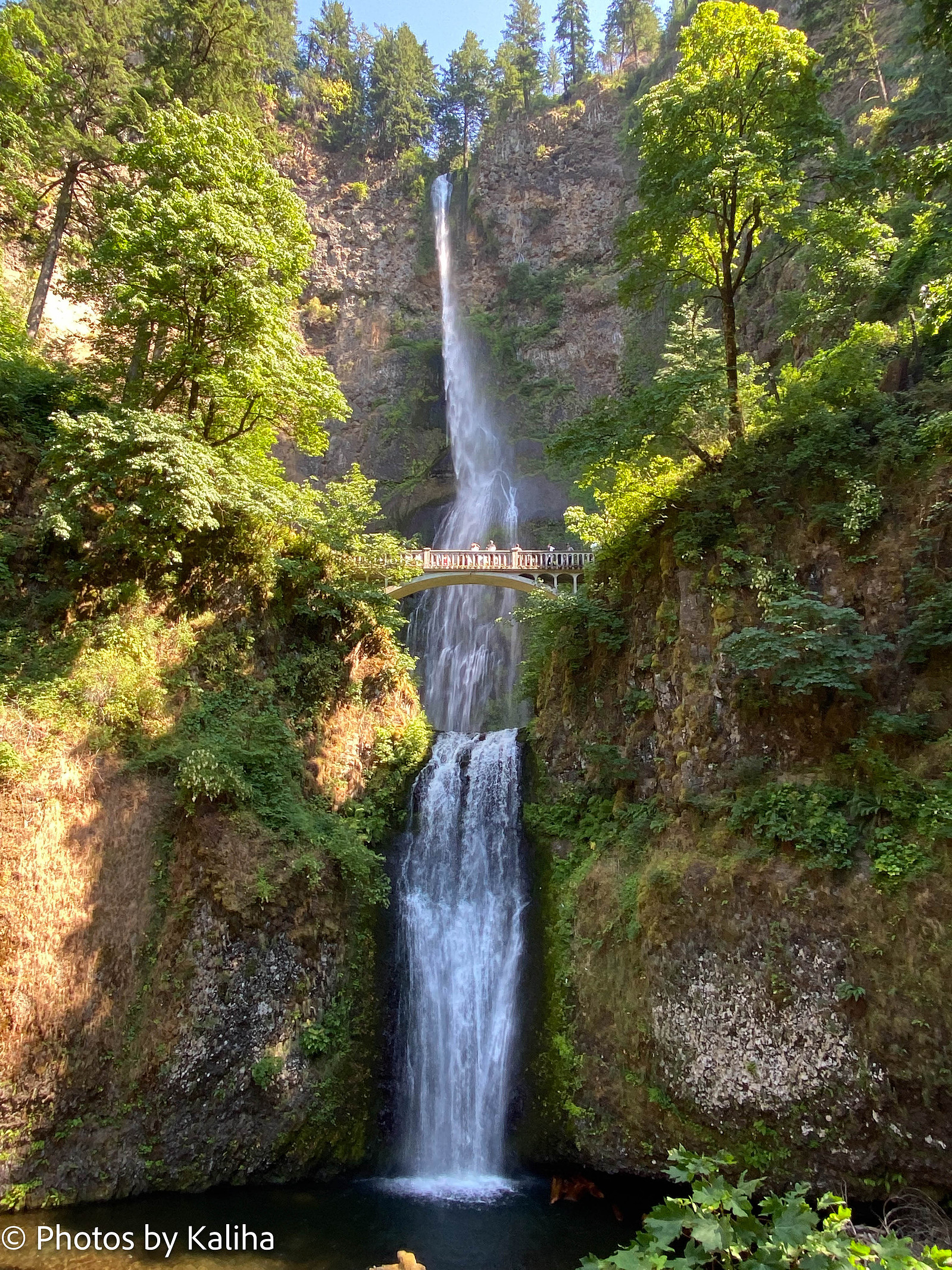 Discover the Beauty with this Captivating Photograph. Get Inspired for Your RV Trip to Oregon. Own the Digital Print Today!