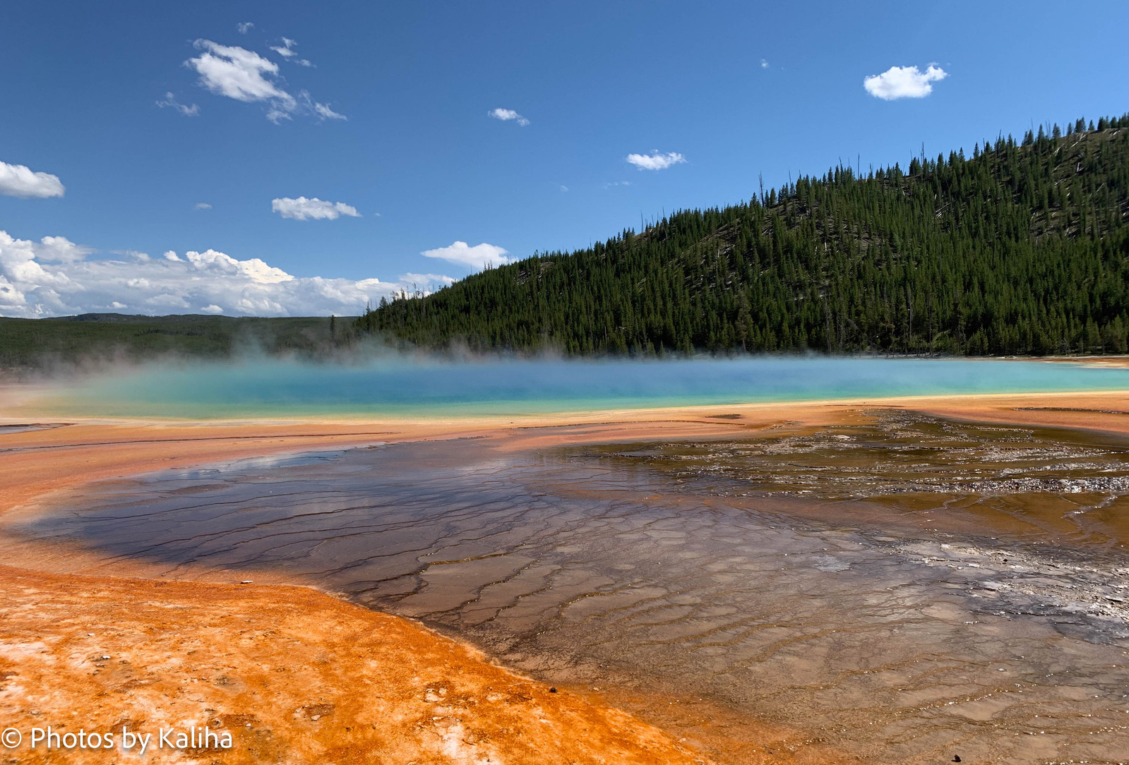 This captivating photograph captures the tranquil beauty of Yellowstone's geothermal hot springs in all their glory. The prismatic colors of the pools create a mesmerizing symphony of hues, painting an ethereal scene amidst the rugged wilderness. 
