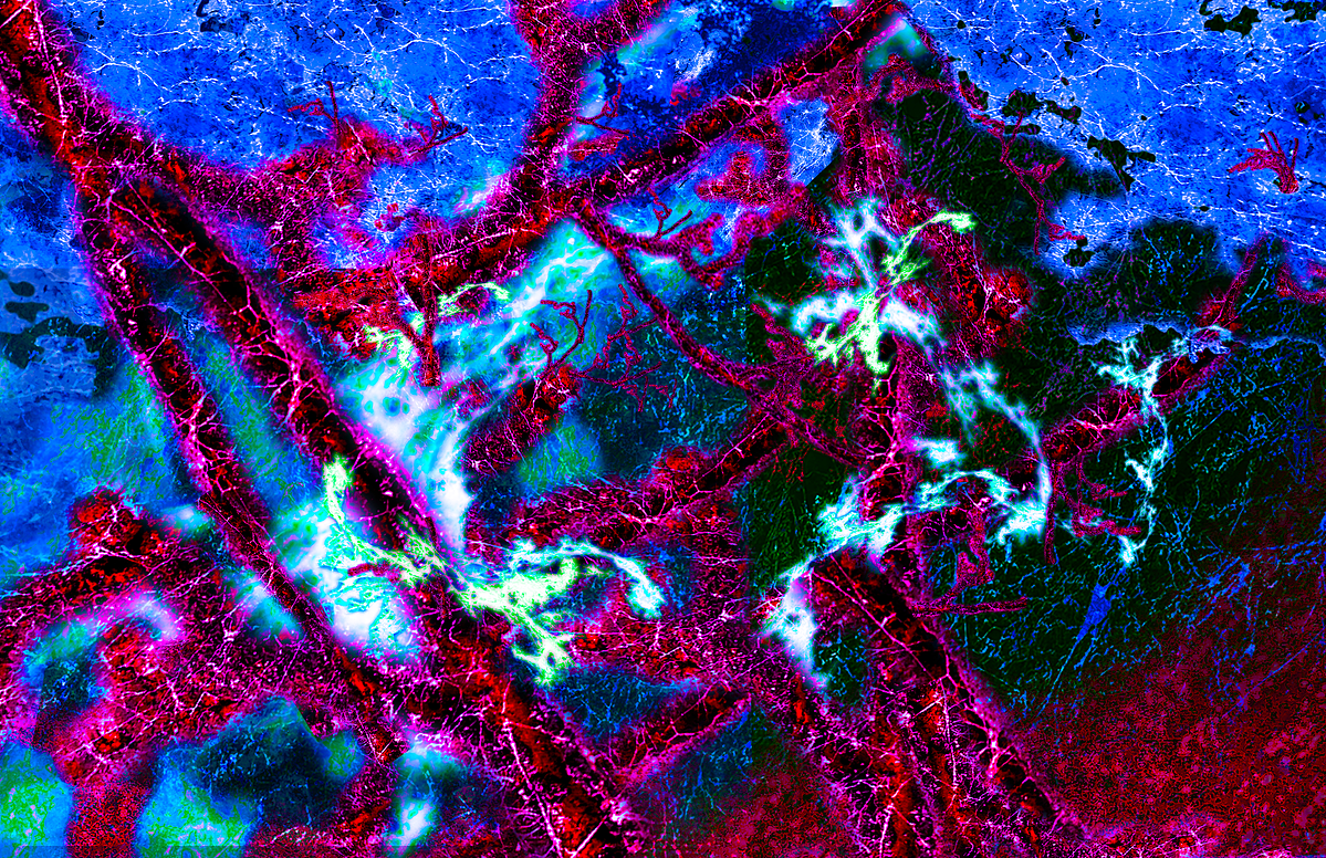 11 in x 17 in 300 DPI
Adobe Lightroom & Photoshop
March 5th, 2025
Abstracting photographs of common textures into an experimental collage.