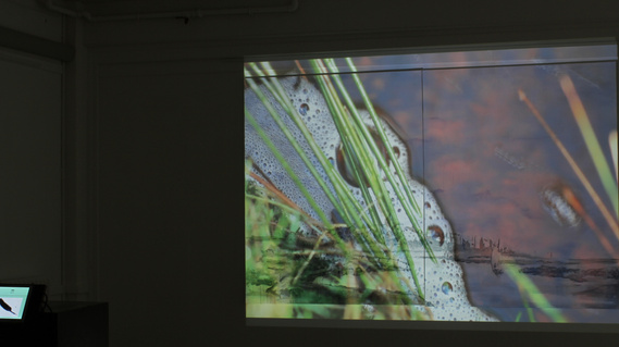 'Over Nature' - Shane Finan installation shot. Property of the artist. 