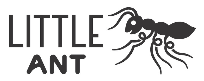 Little Ant
