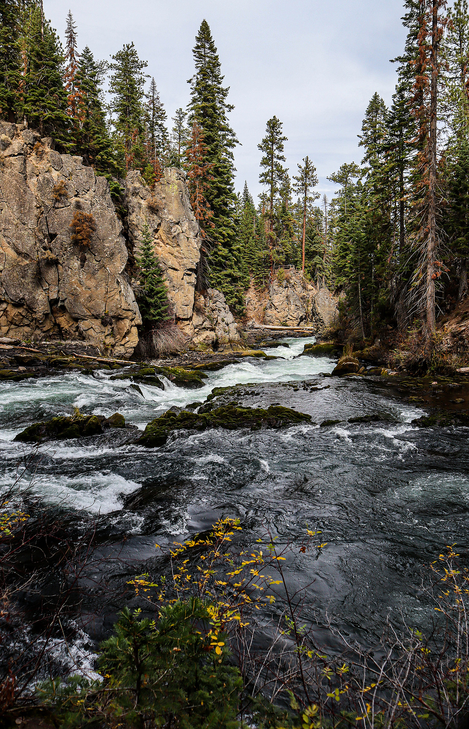 The Deschutes River in Autumn
