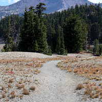 Trail in the 3 Sisters Wilderness