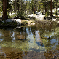 beautiful pond