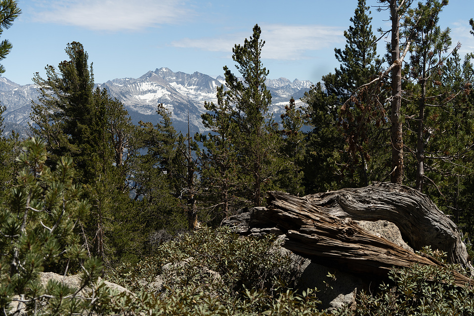 Mountain view with a stump in the foreground
