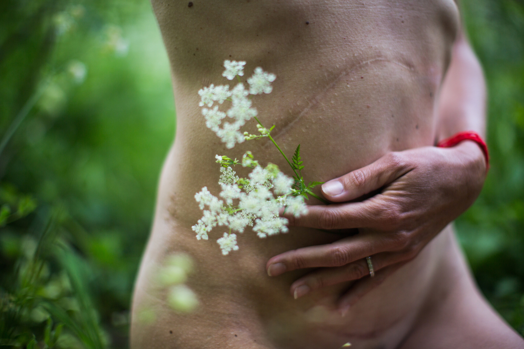 Vulnérabilité, éclosion et envol du printemps
