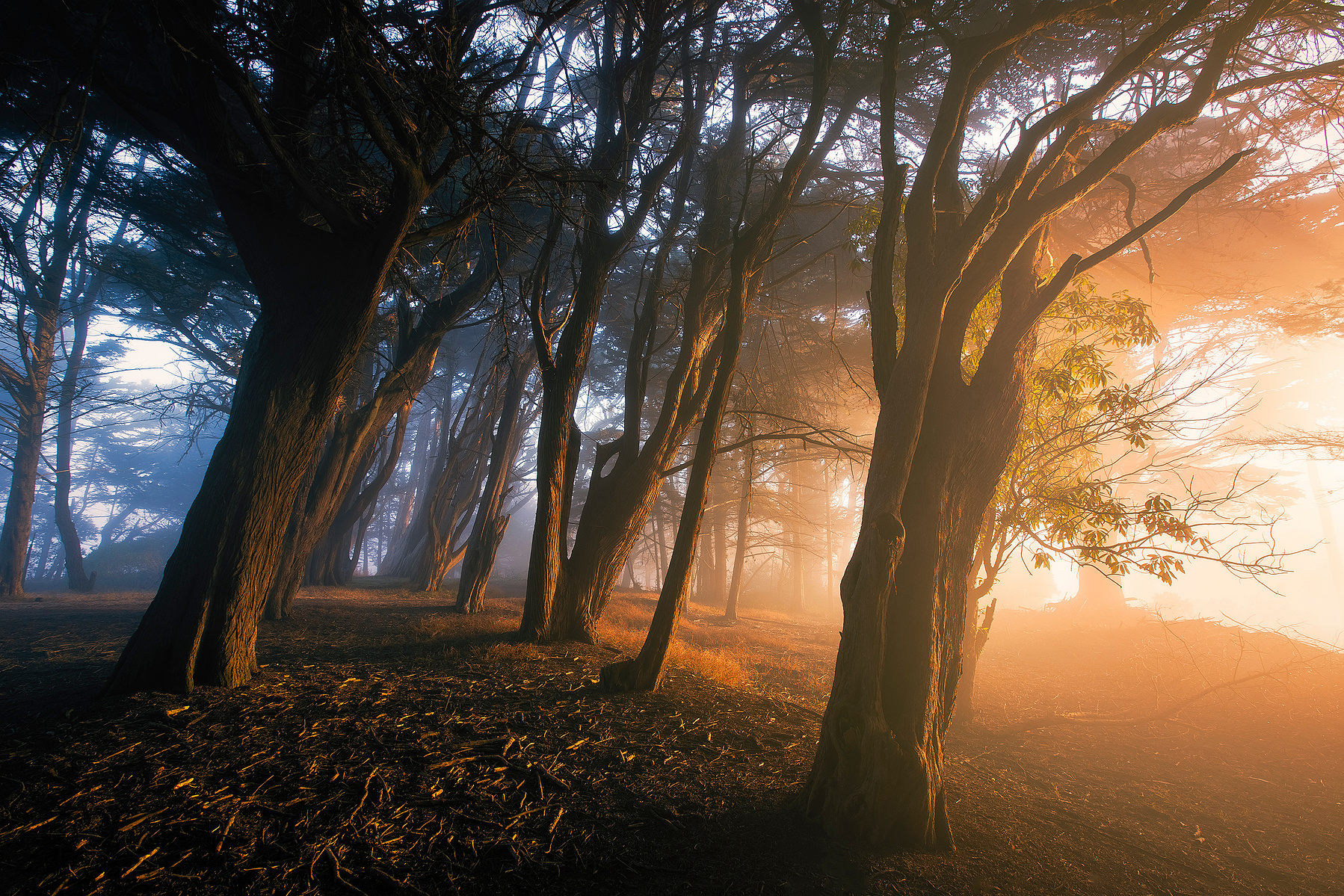 Featured Works - Vincent James Photography: Capturing the Essence of