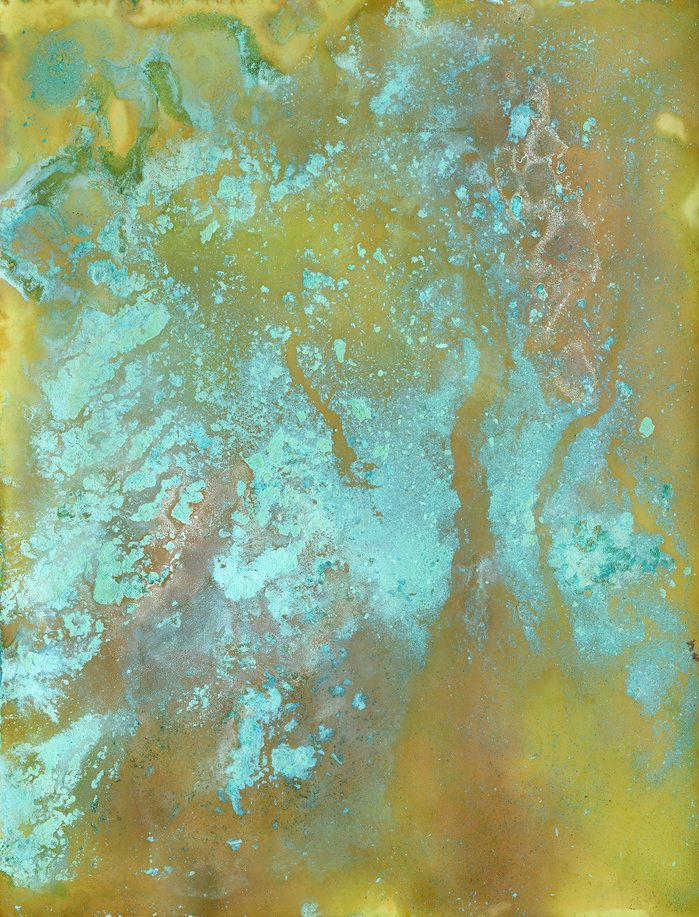 Primary Reactions. Chemicals on photographic paper. 2015