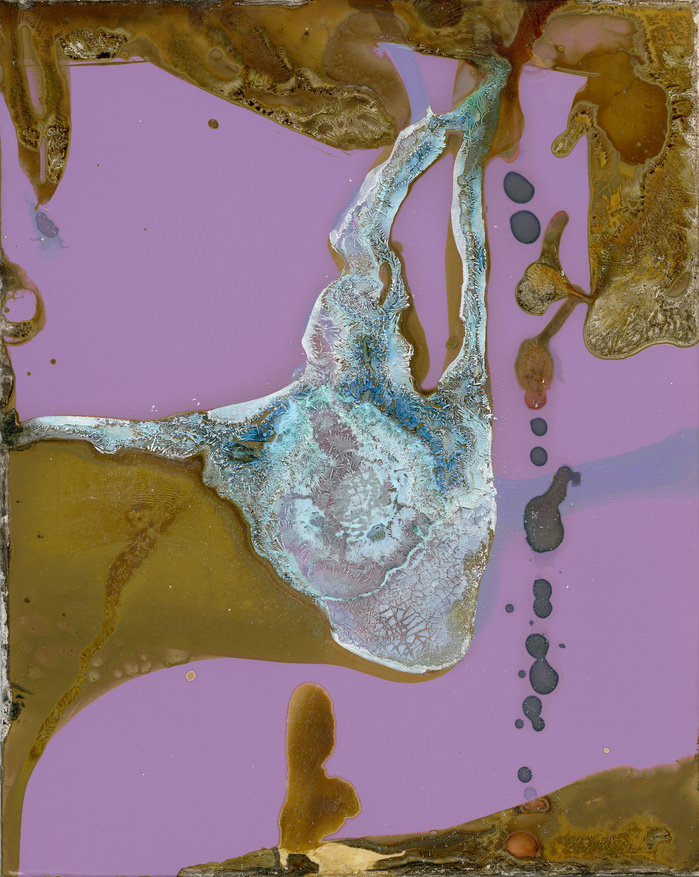 Primary Reactions. Chemicals on photographic paper. 2015