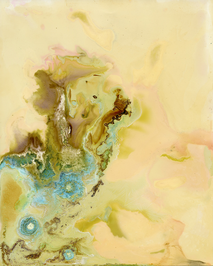 Primary Reactions. Chemicals on photographic paper. 2015