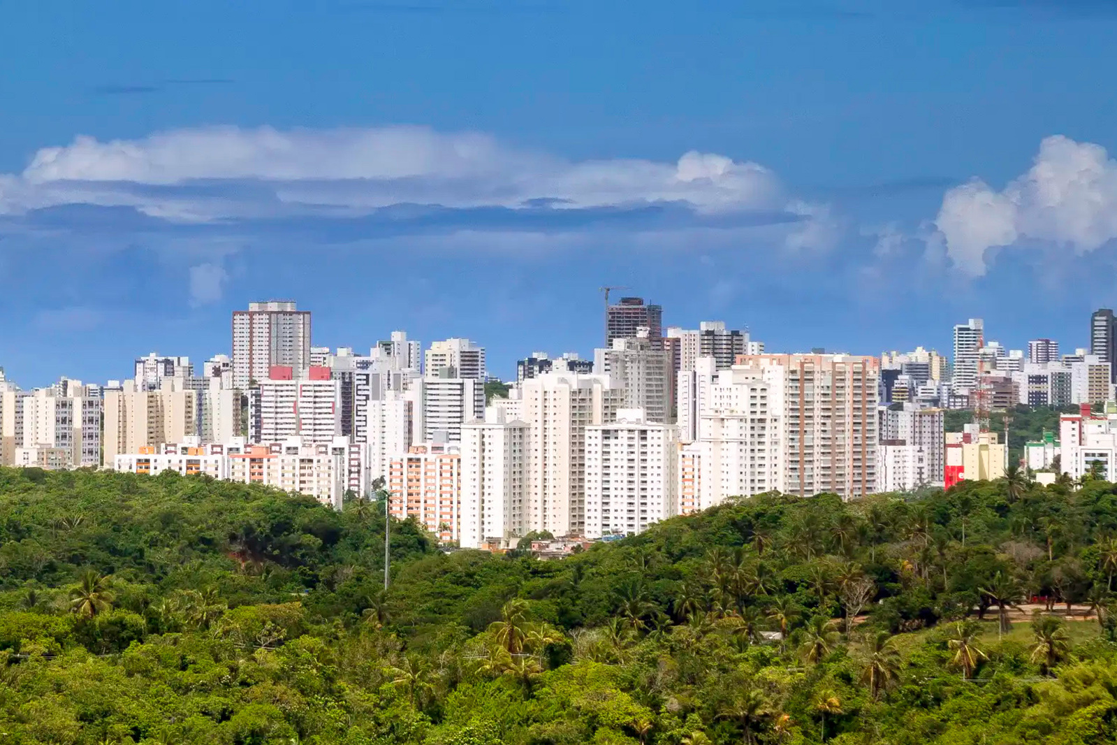 Timelapse contrastes urbanos, no Parque de Pituaçu, Salavdor. BA