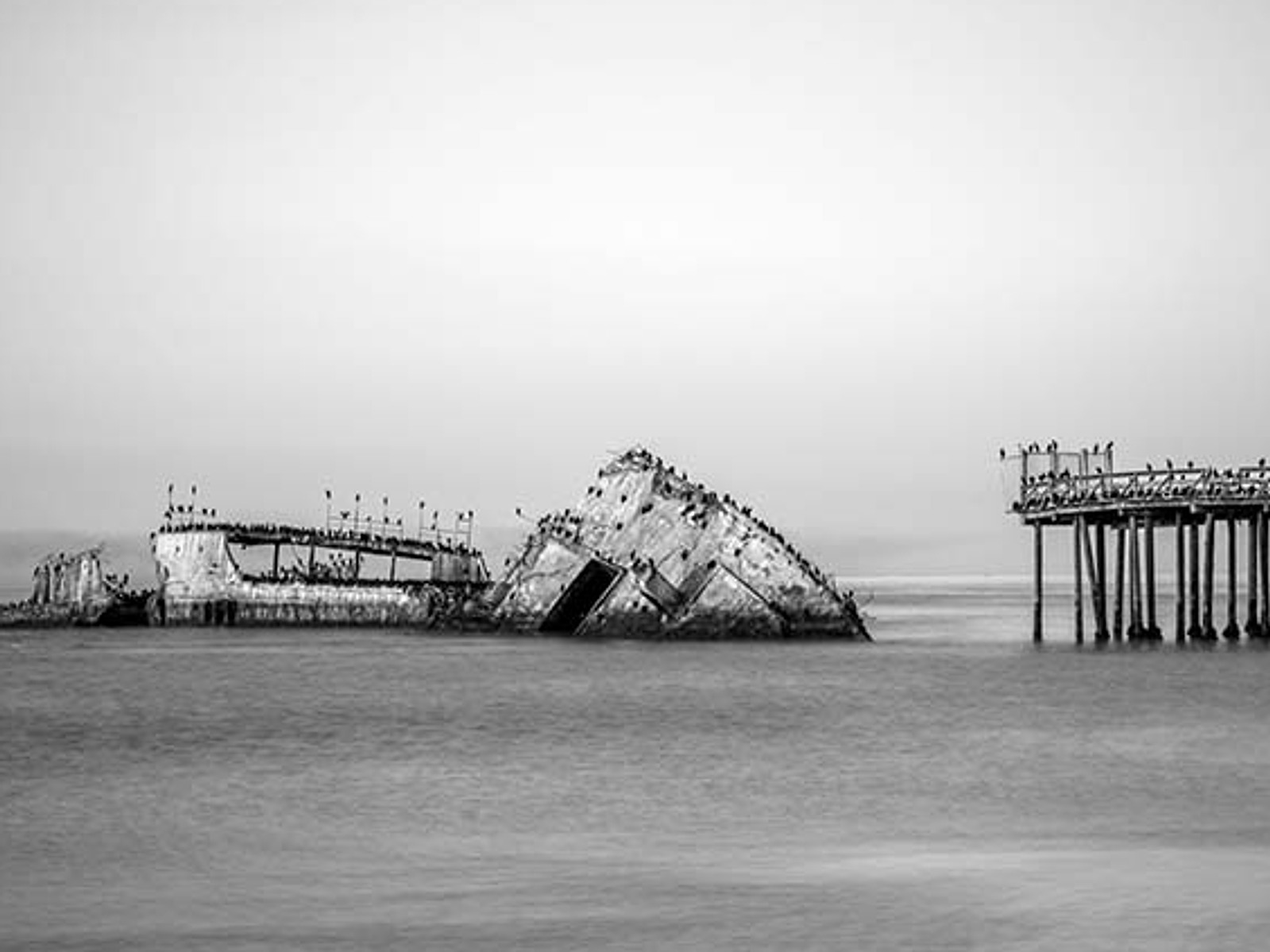 Concrete ship reaves photography