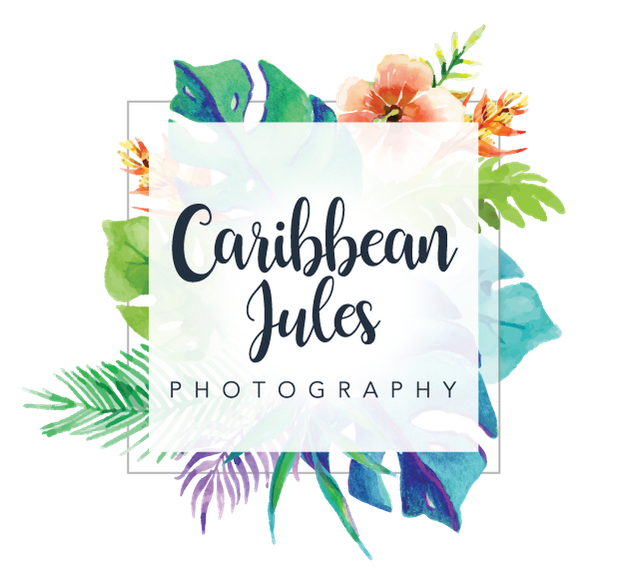 British Virgin Islands Photography Services