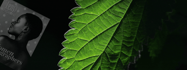 Publication & Cover Image Lens Magazine