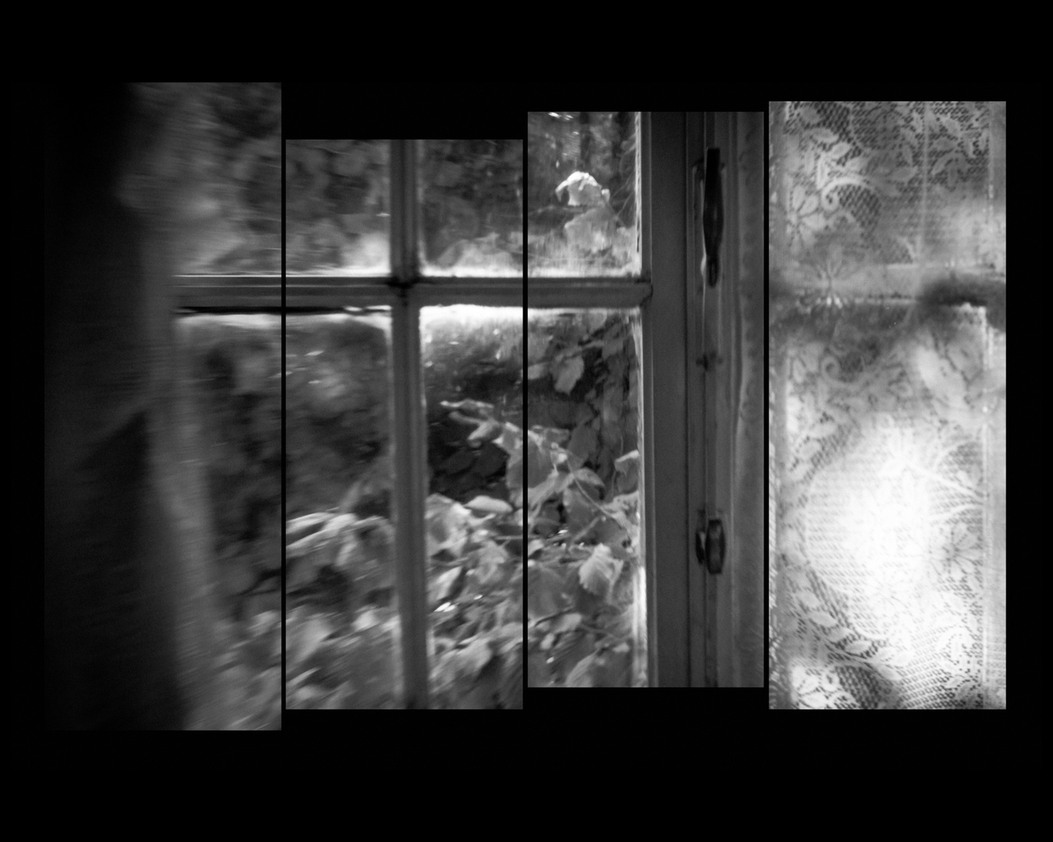 Staggered film strip of antique looking window looking into a garden