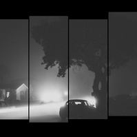 Staggered film strip of foggy street scene at night with car underneath a tree
