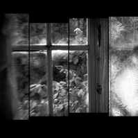 Staggered film strip of antique looking window looking into a garden