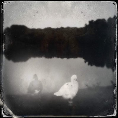 Black and white iPhone tintype of two ducks next to a lake in dramatic lighting