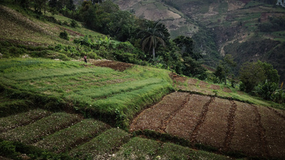 Looking down at the lush hillside farms in the mountains of Haiti