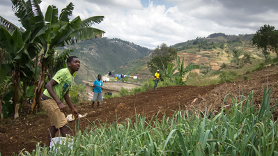 Young Haitian farmers tending to lush land high up in the mountains