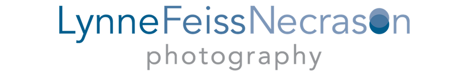 Lynne Feiss Necrason Photography