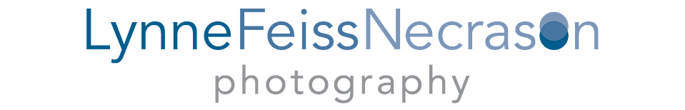 Lynne Feiss Necrason Photography